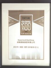 ●集团公司初次进入《财富》世界500强榜单。